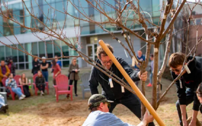 El árbol que da 40 frutas diferentes