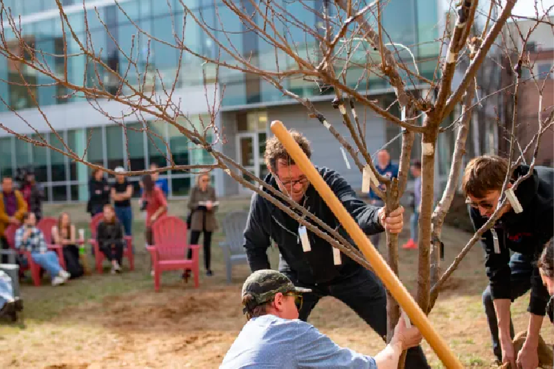 El árbol que da 40 frutas diferentes