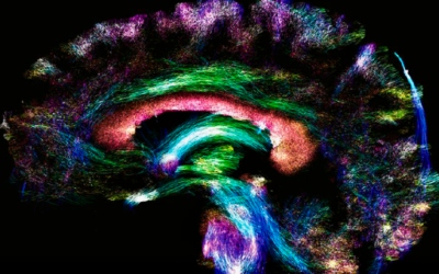 El mapa más difícil de crear y descifrar