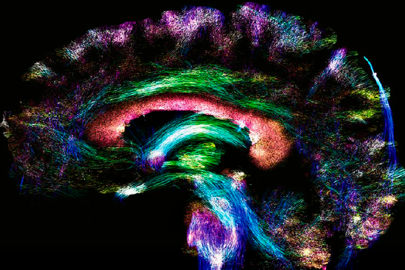El mapa más difícil de crear y descifrar